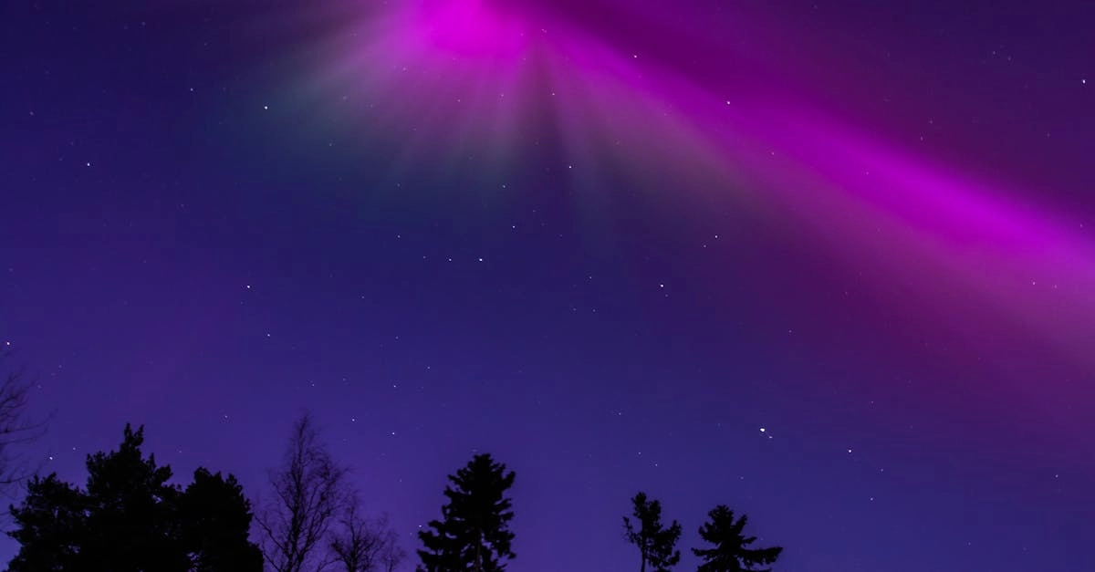 Виртуальные путешествия в мире Starlight Princess с магическими эффектами