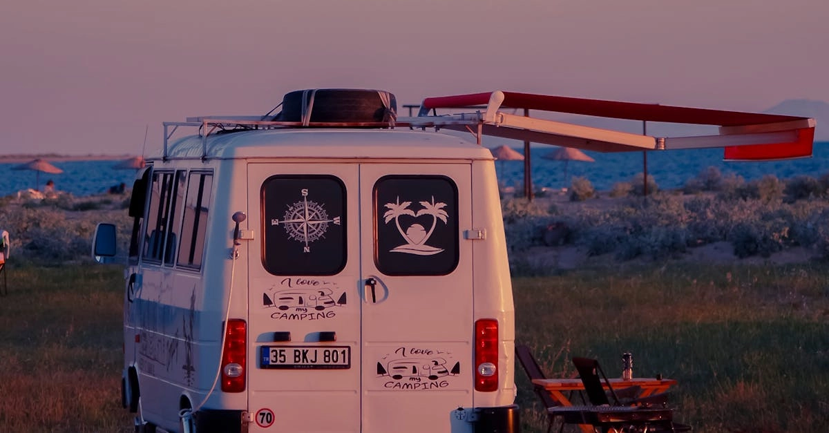 Виртуальные приключения в мире собачьих персонажей и игрового процесса