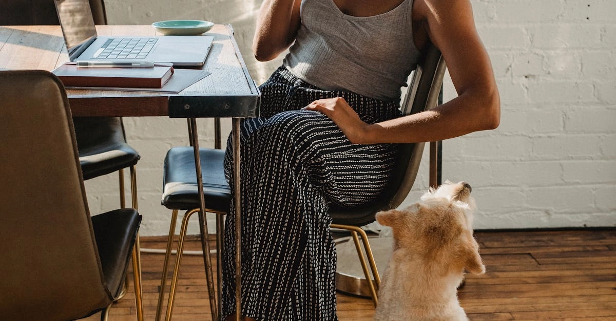 Виртуальные приключения в мире казино и программ лояльности